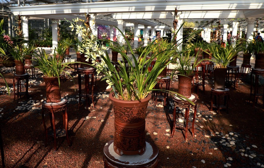 幻城仙境（拍摄于天津滨海生态农业科技园区）—6