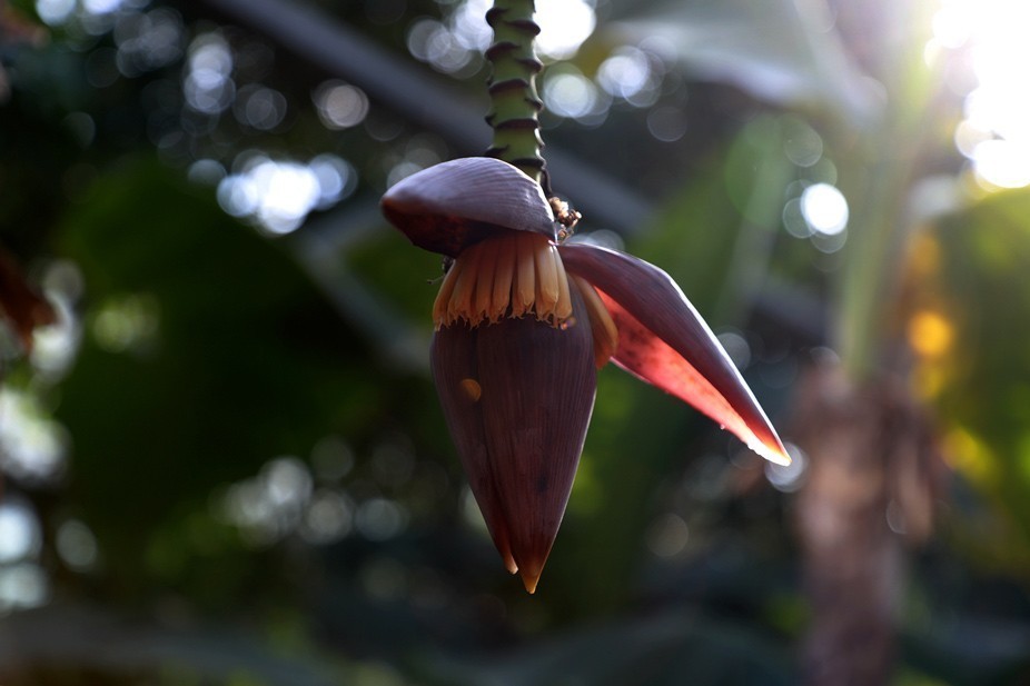 幻城仙境（拍摄于天津滨海生态农业科技园区）—6