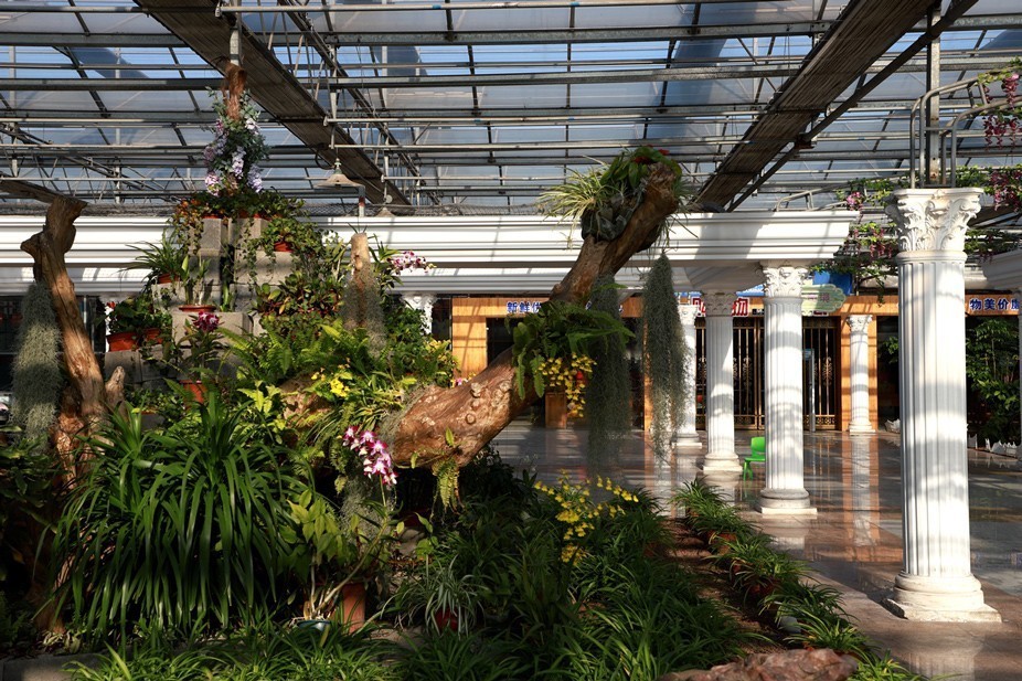 幻城仙境（拍摄于天津滨海生态农业科技园区）—6