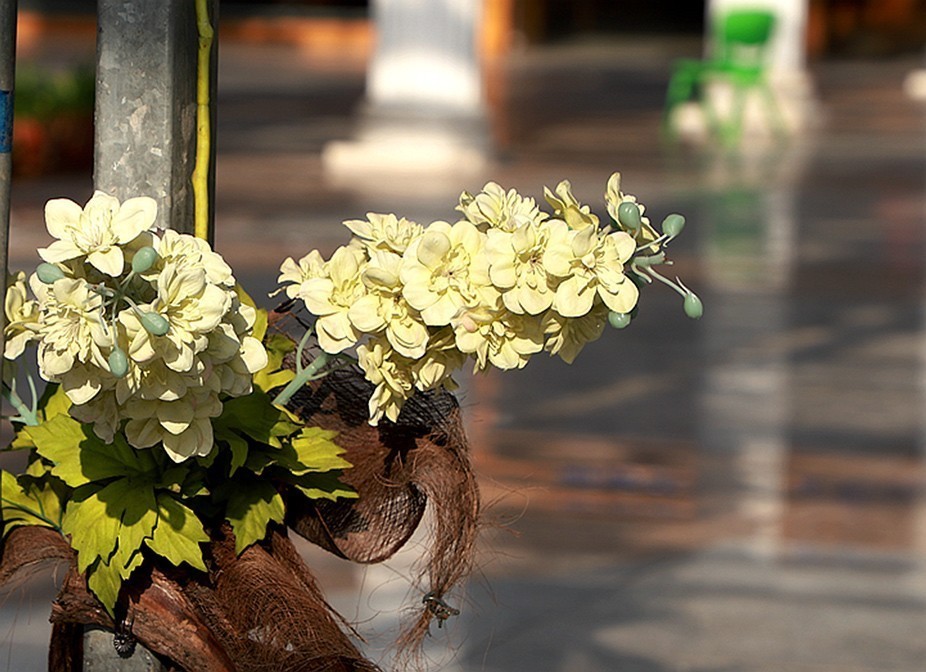 幻城仙境（拍摄于天津滨海生态农业科技园区）—6
