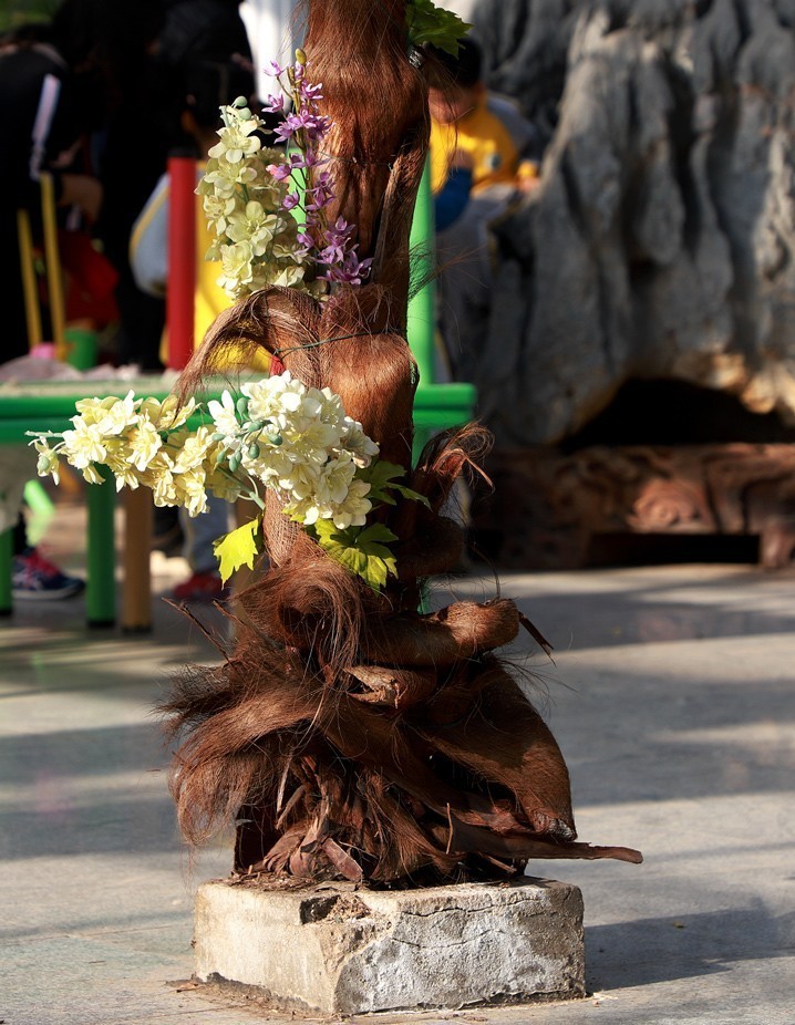 幻城仙境（拍摄于天津滨海生态农业科技园区）—6