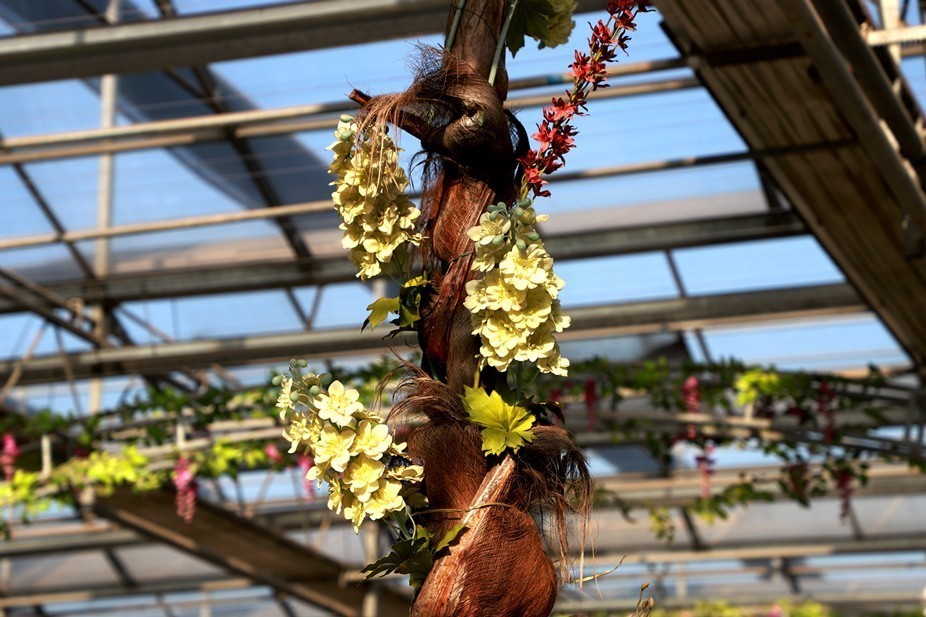 幻城仙境（拍摄于天津滨海生态农业科技园区）—6