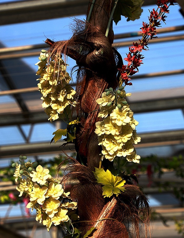 幻城仙境（拍摄于天津滨海生态农业科技园区）—6