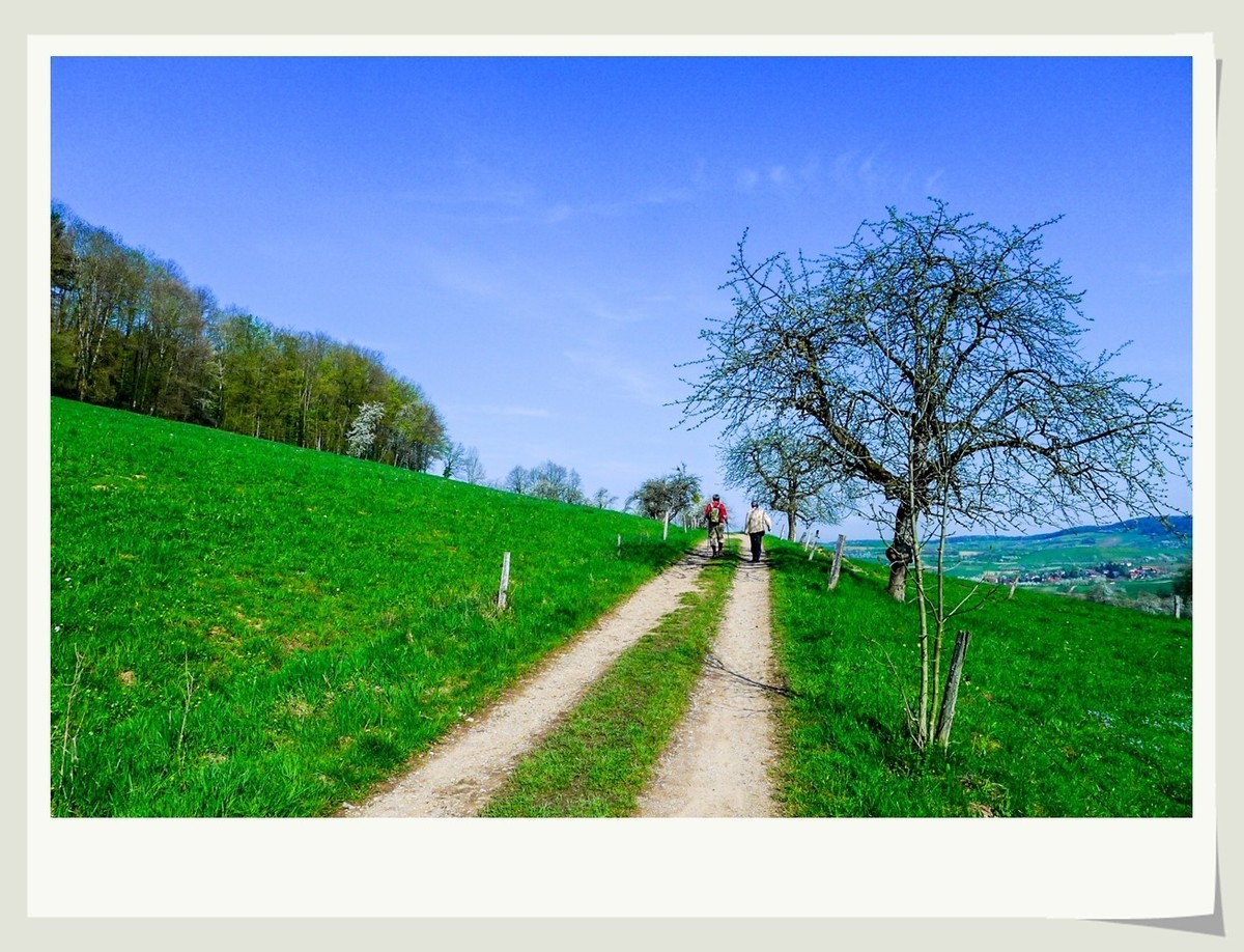 携黑森林春光(南德)拜兄弟星空(中国)--祝师友快乐安康!!!