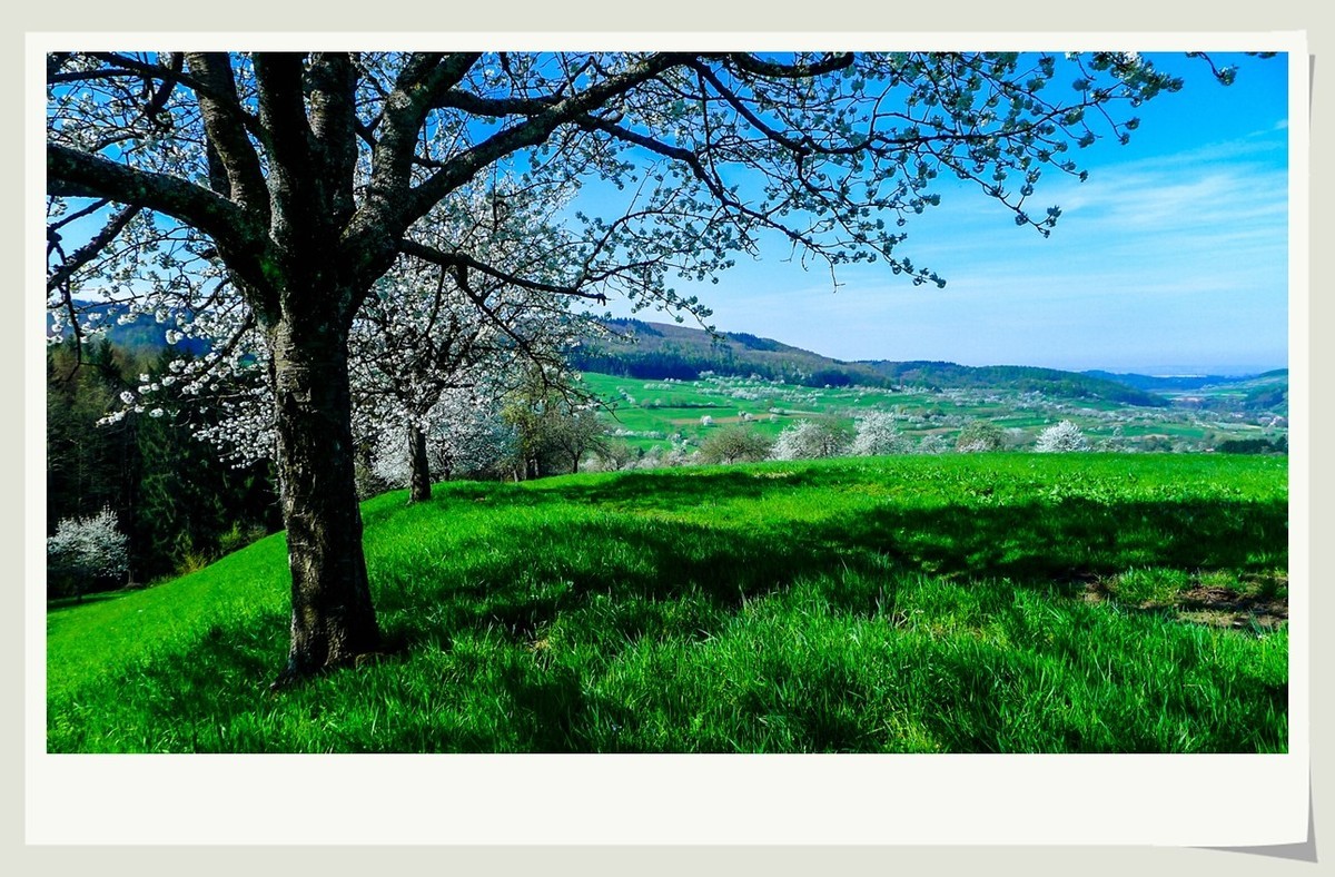 携黑森林春光(南德)拜兄弟星空(中国)--祝师友快乐安康!!!