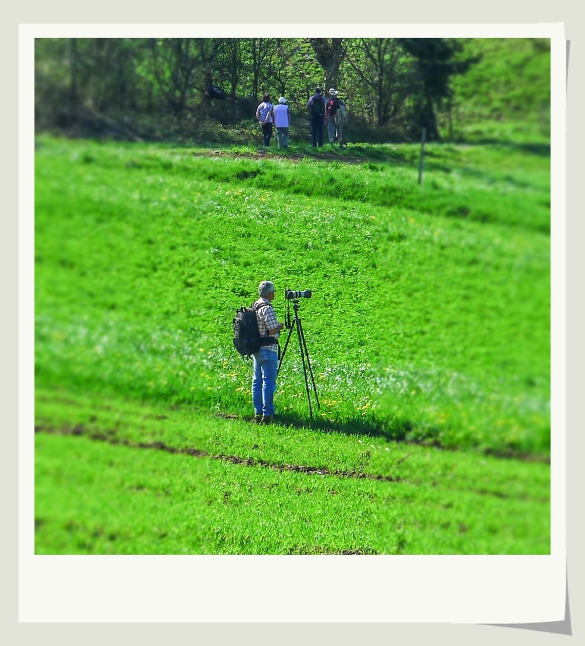 携黑森林春光(南德)拜兄弟星空(中国)--祝师友快乐安康!!!