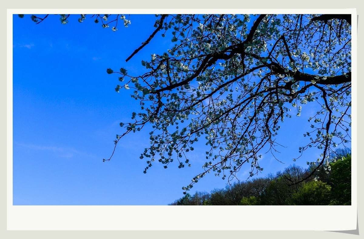 携黑森林春光(南德)拜兄弟星空(中国)--祝师友快乐安康!!!