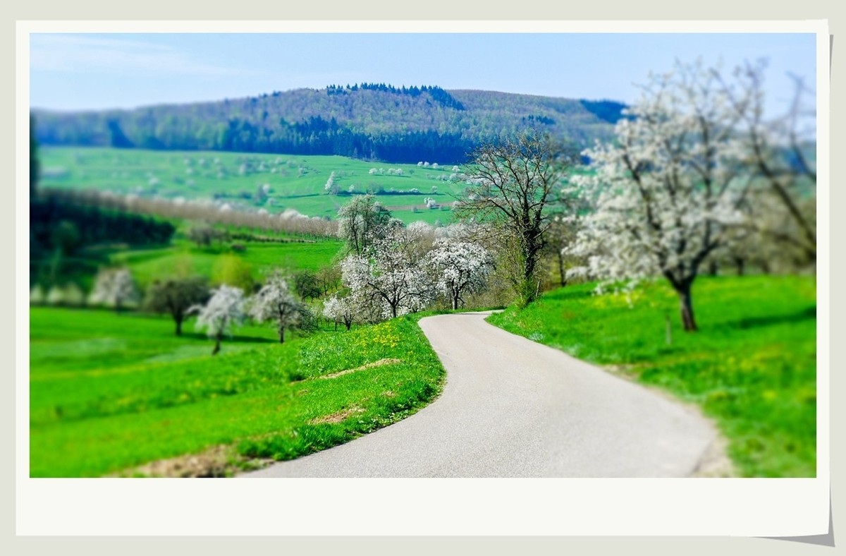 携黑森林春光(南德)拜兄弟星空(中国)--祝师友快乐安康!!!