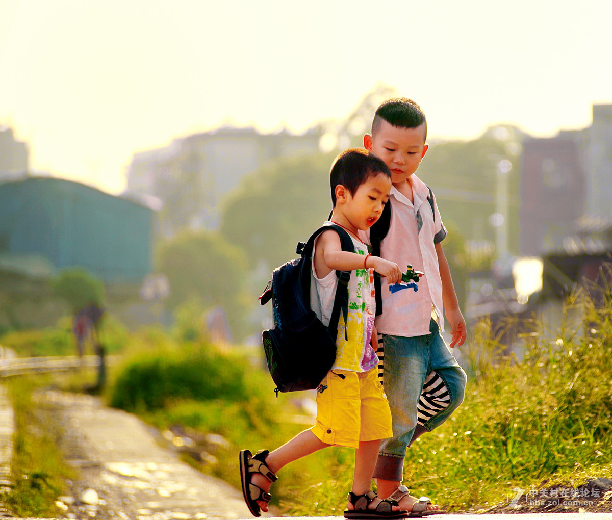 废弃铁路道口的蹲守抓拍