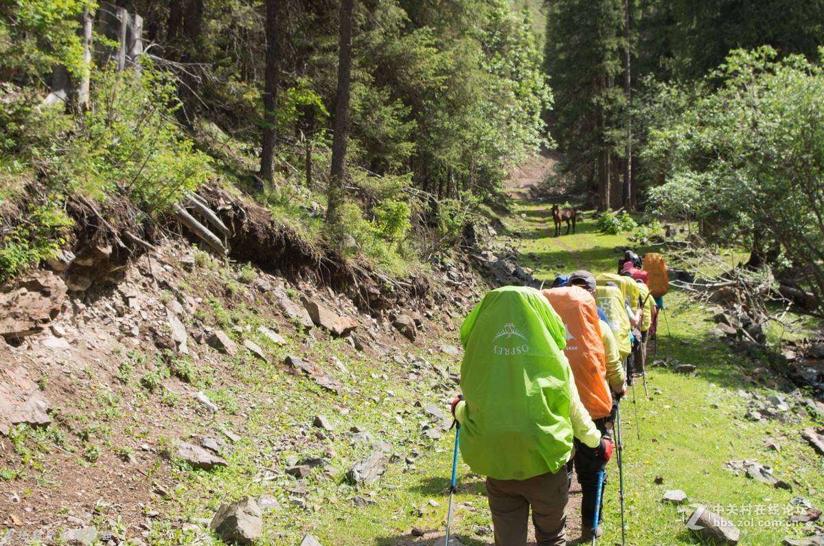 伊犁尼勒克蒙玛拉尔林场穿越