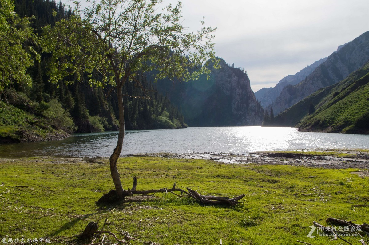伊犁尼勒克蒙玛拉尔林场穿越