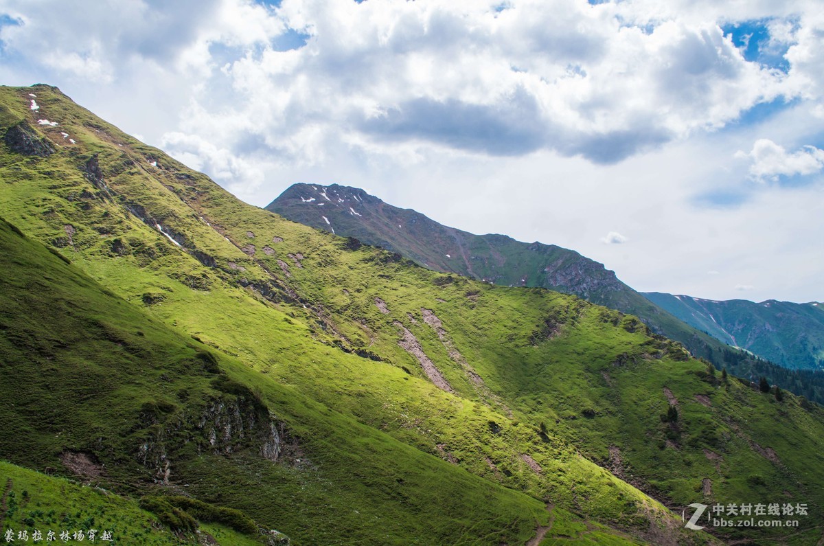 伊犁尼勒克蒙玛拉尔林场穿越