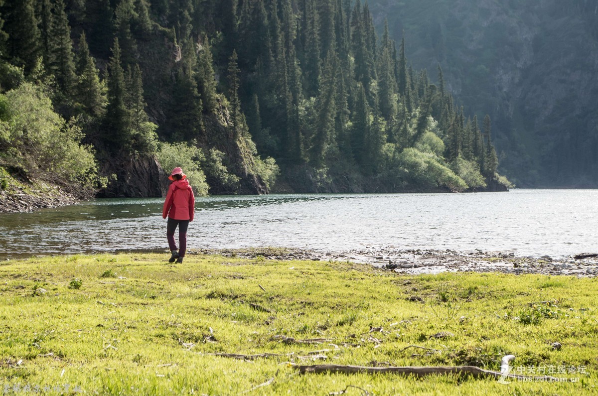 伊犁尼勒克蒙玛拉尔林场穿越