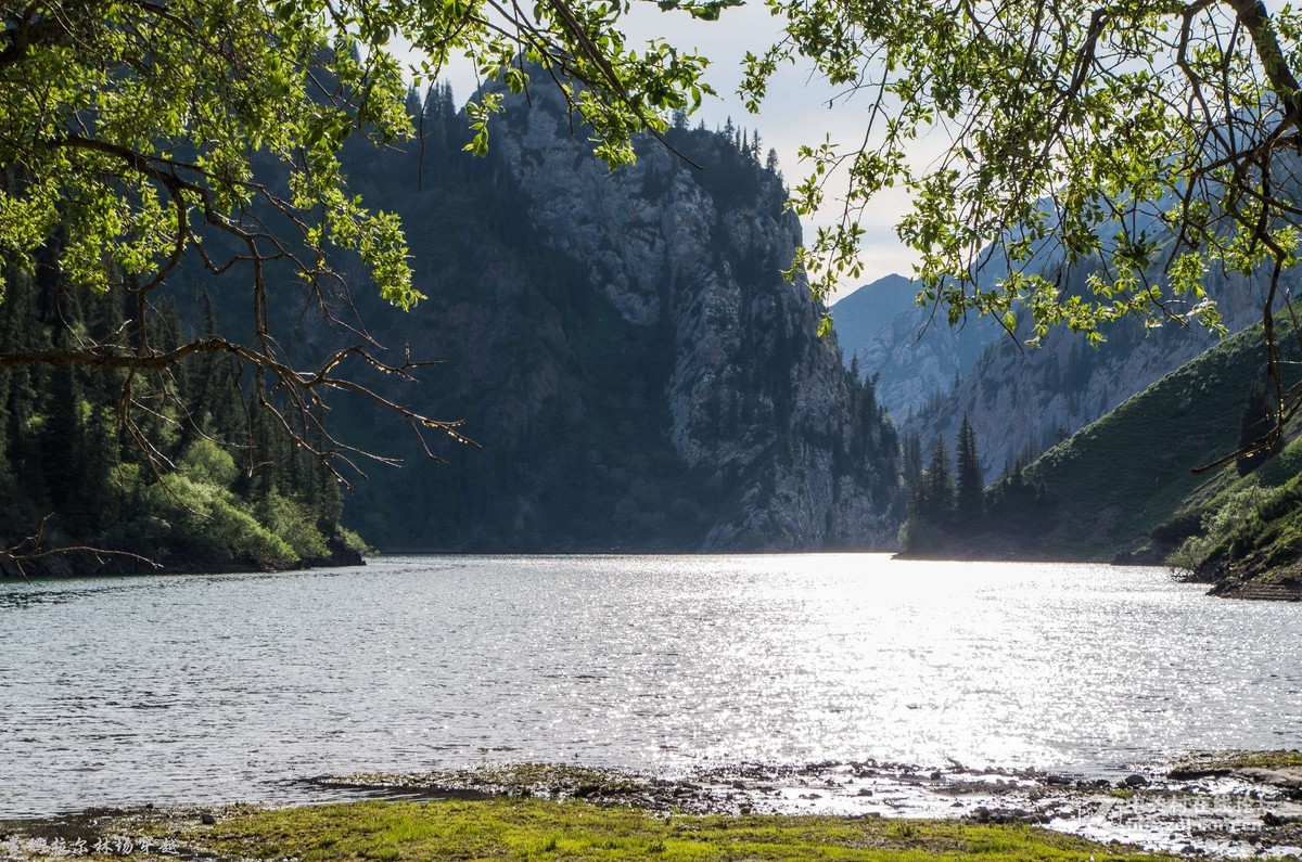 伊犁尼勒克蒙玛拉尔林场穿越