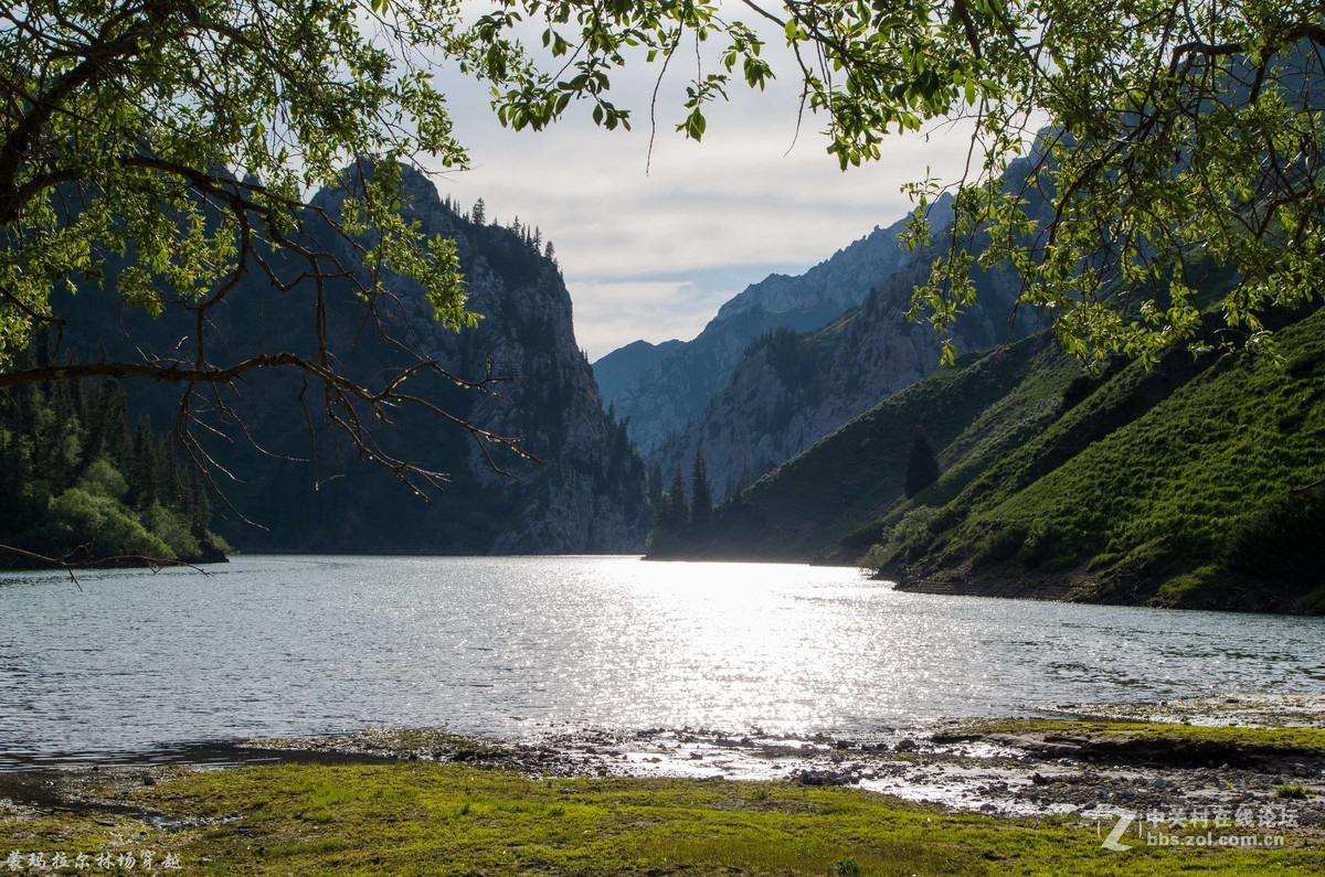 伊犁尼勒克蒙玛拉尔林场穿越