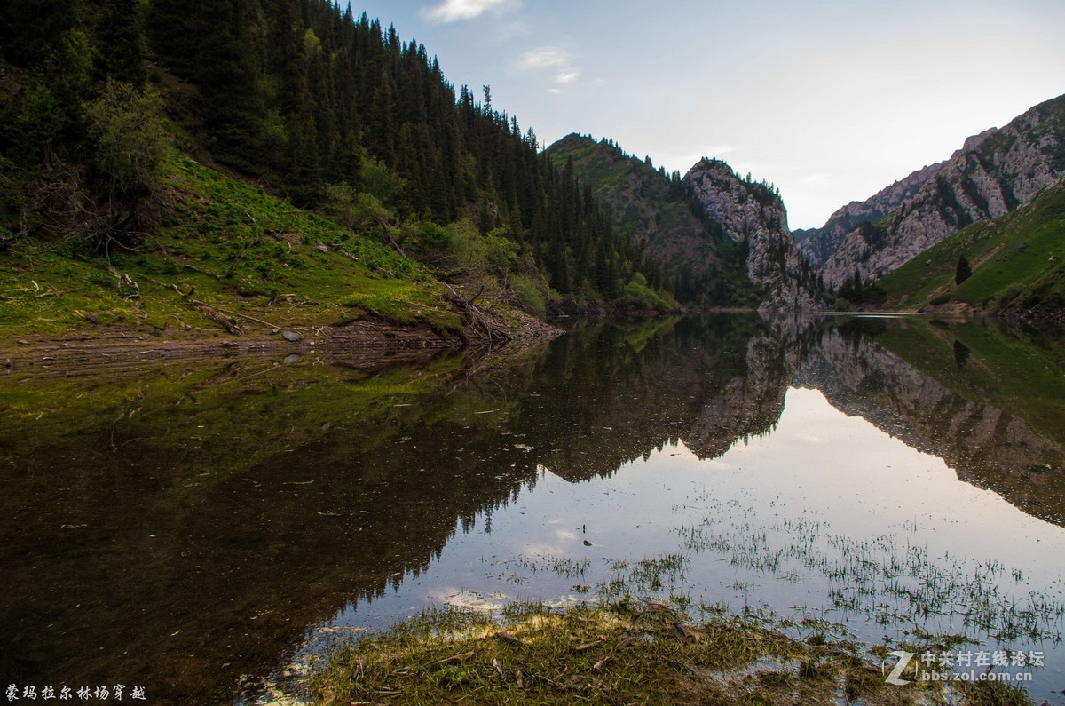 伊犁尼勒克蒙玛拉尔林场穿越