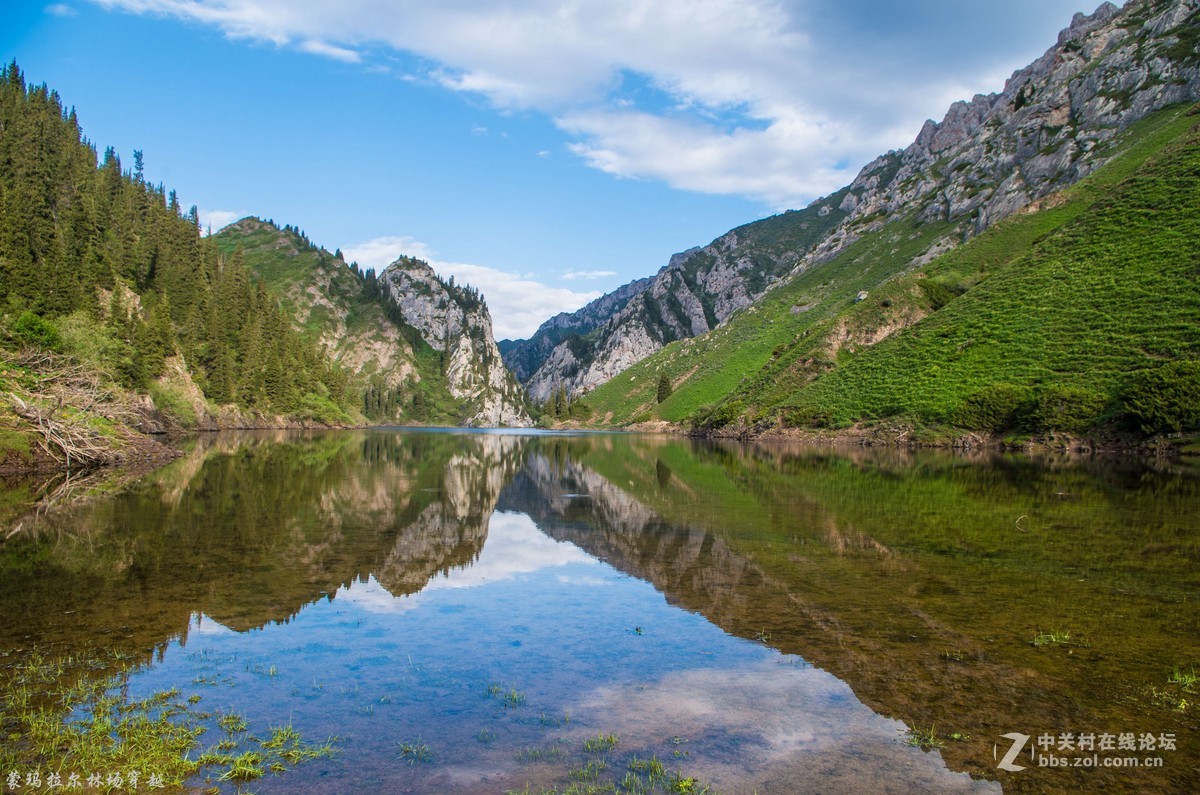 伊犁尼勒克蒙玛拉尔林场穿越