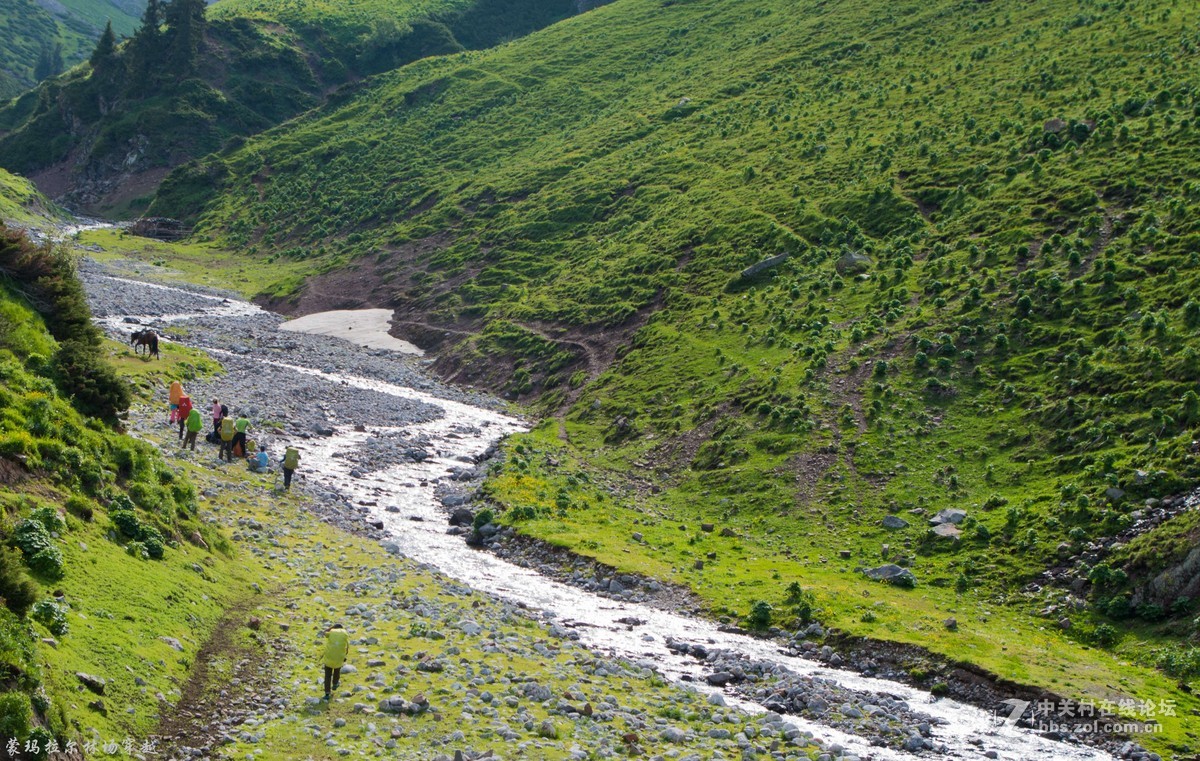 伊犁尼勒克蒙玛拉尔林场穿越
