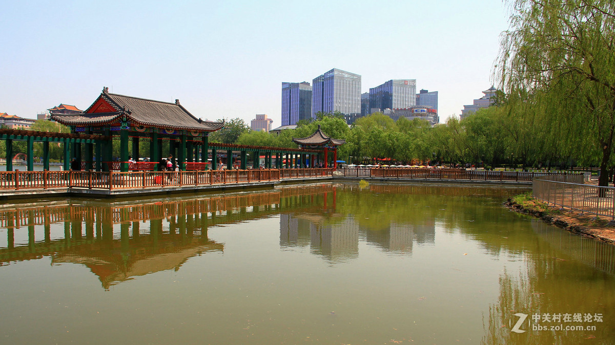 蓮花池公園的景色