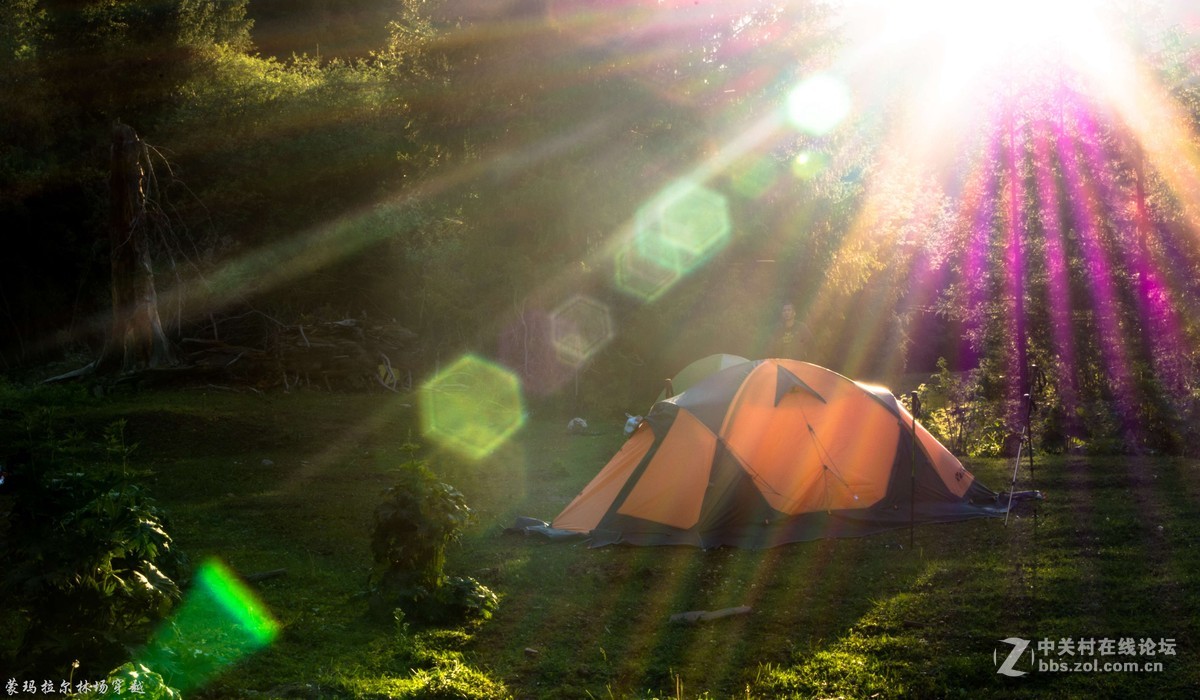 伊犁尼勒克蒙玛拉尔林场穿越