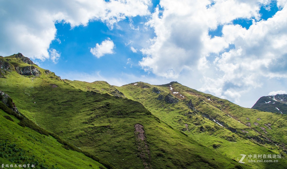 伊犁尼勒克蒙玛拉尔林场穿越