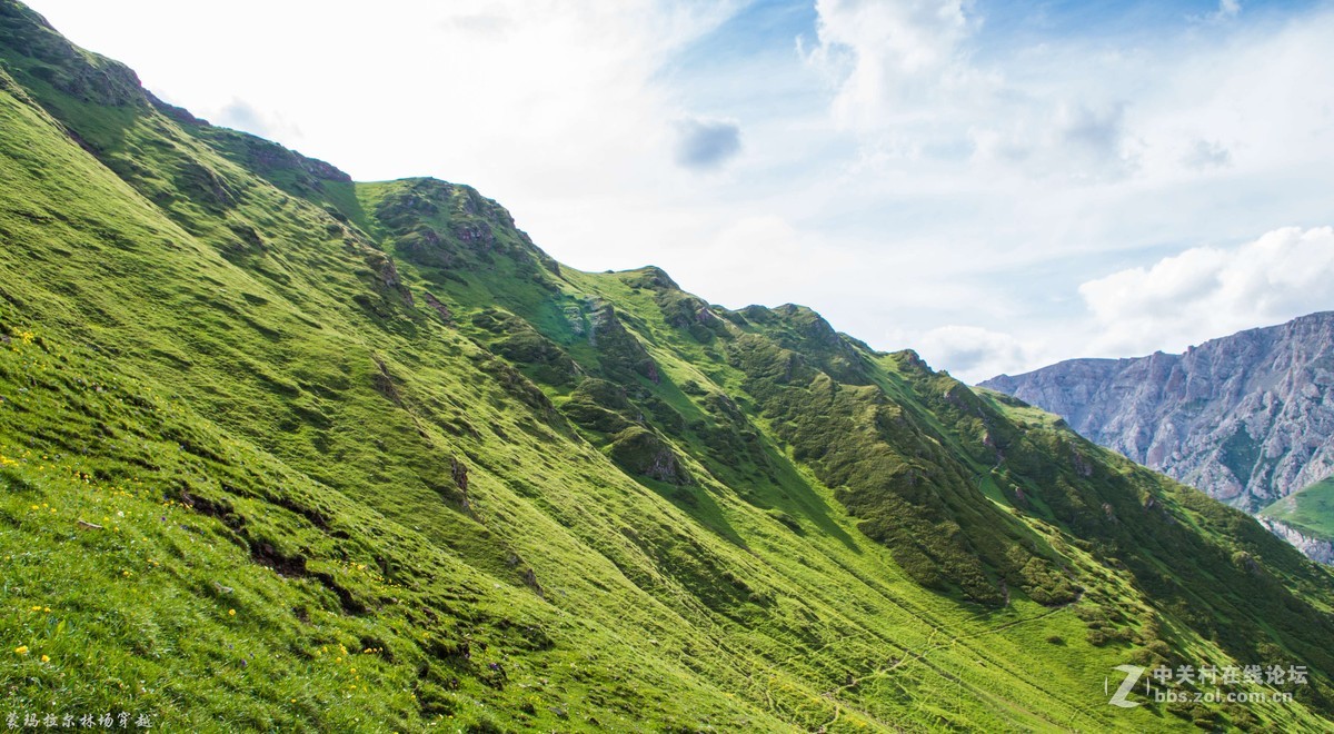 伊犁尼勒克蒙玛拉尔林场穿越