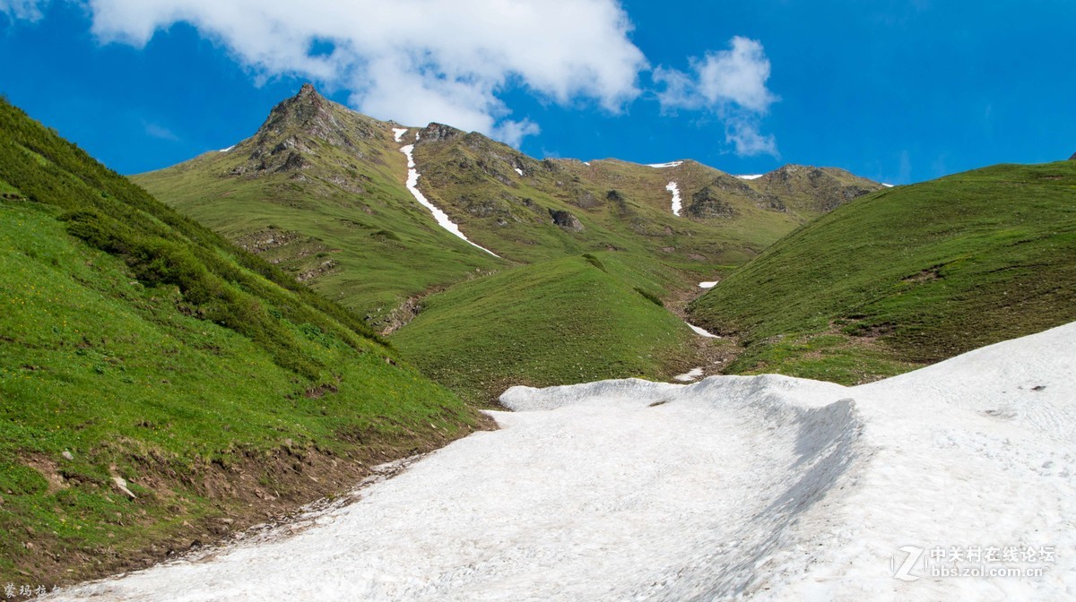 伊犁尼勒克蒙玛拉尔林场穿越