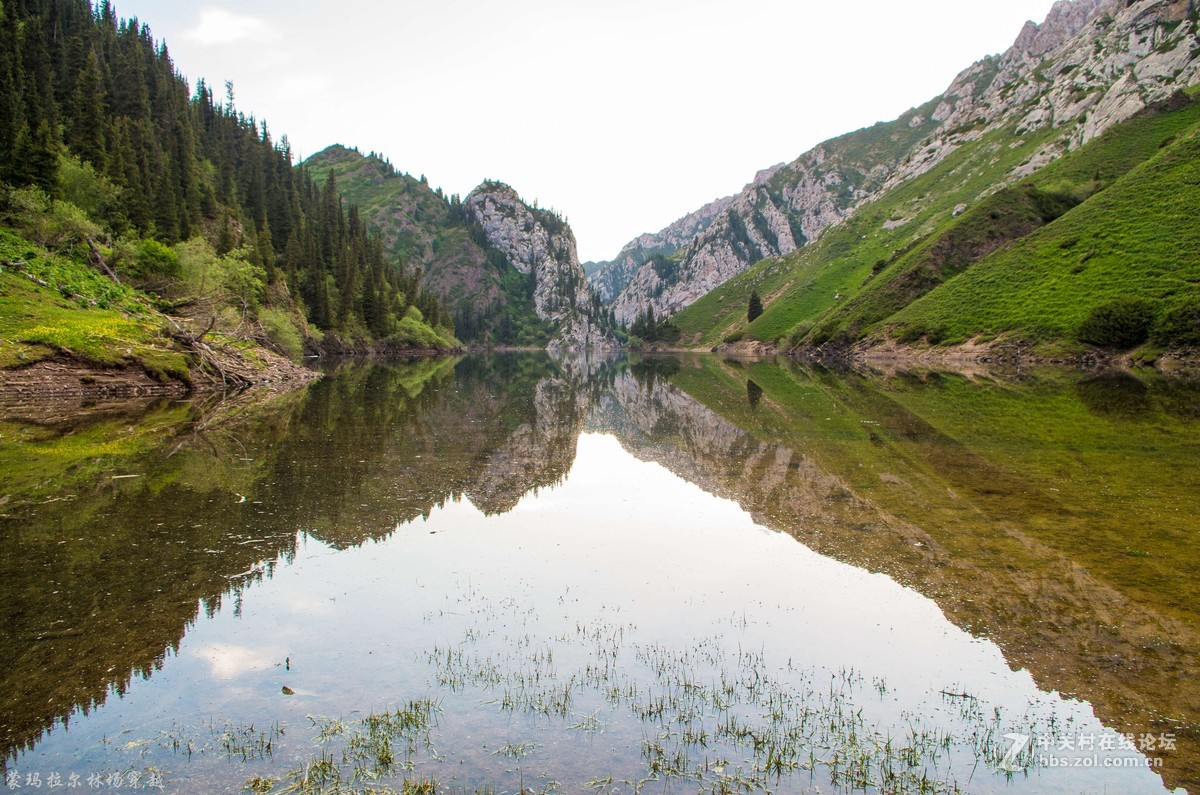 伊犁尼勒克蒙玛拉尔林场穿越