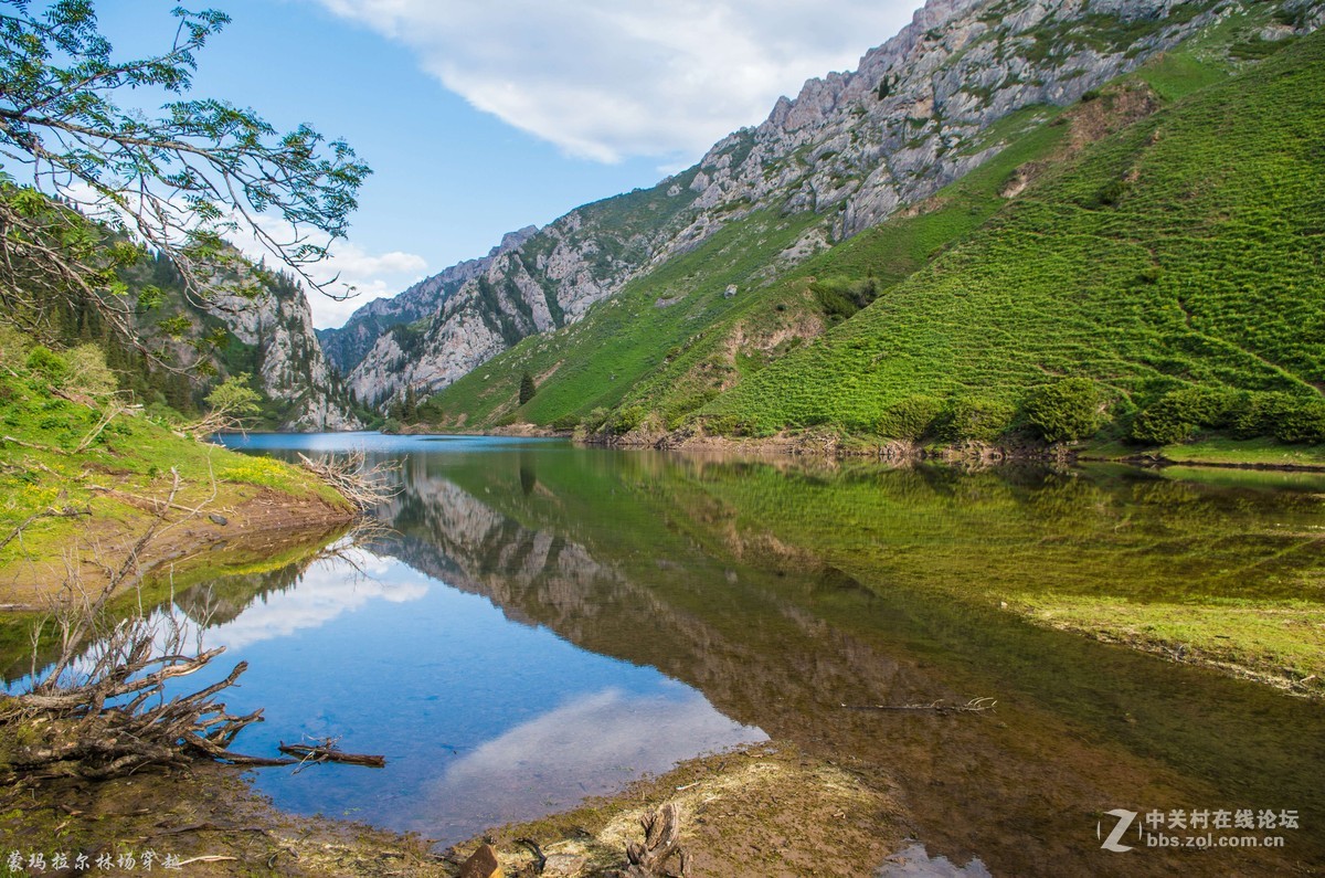 伊犁尼勒克蒙玛拉尔林场穿越