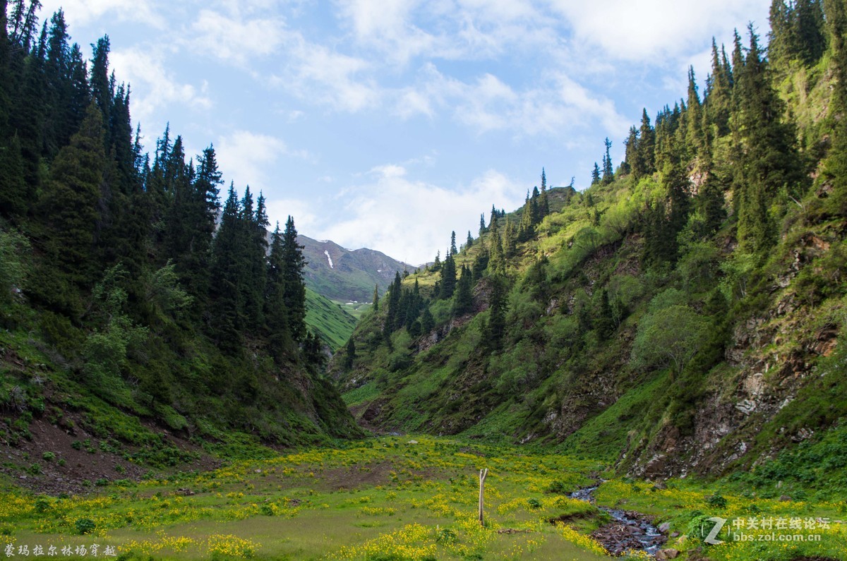 伊犁尼勒克蒙玛拉尔林场穿越