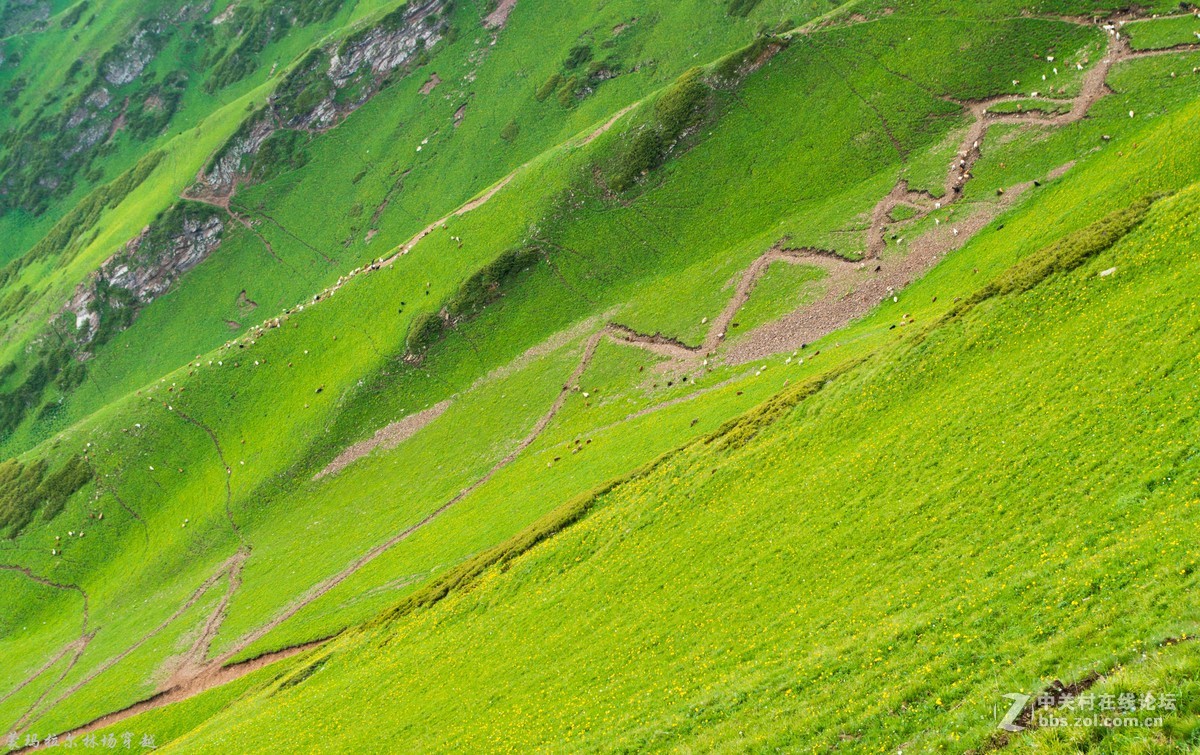 伊犁尼勒克蒙玛拉尔林场穿越