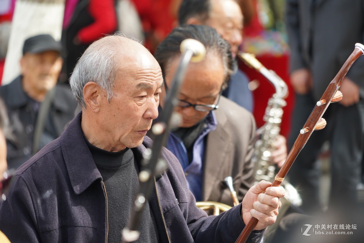 # 向版主求精 #老年 草根歌唱音乐会