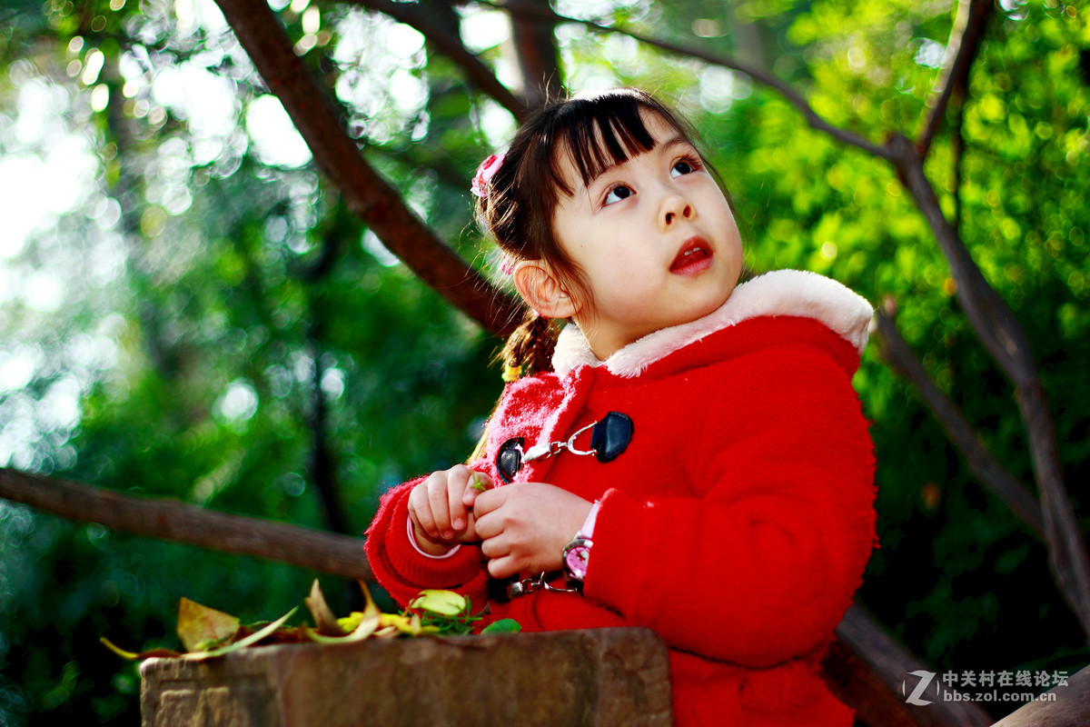 纪念我已经牺牲了的 50 1.8镜头