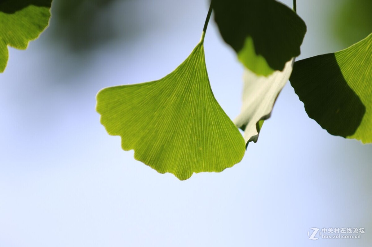 新手试拍2请各位老师指点