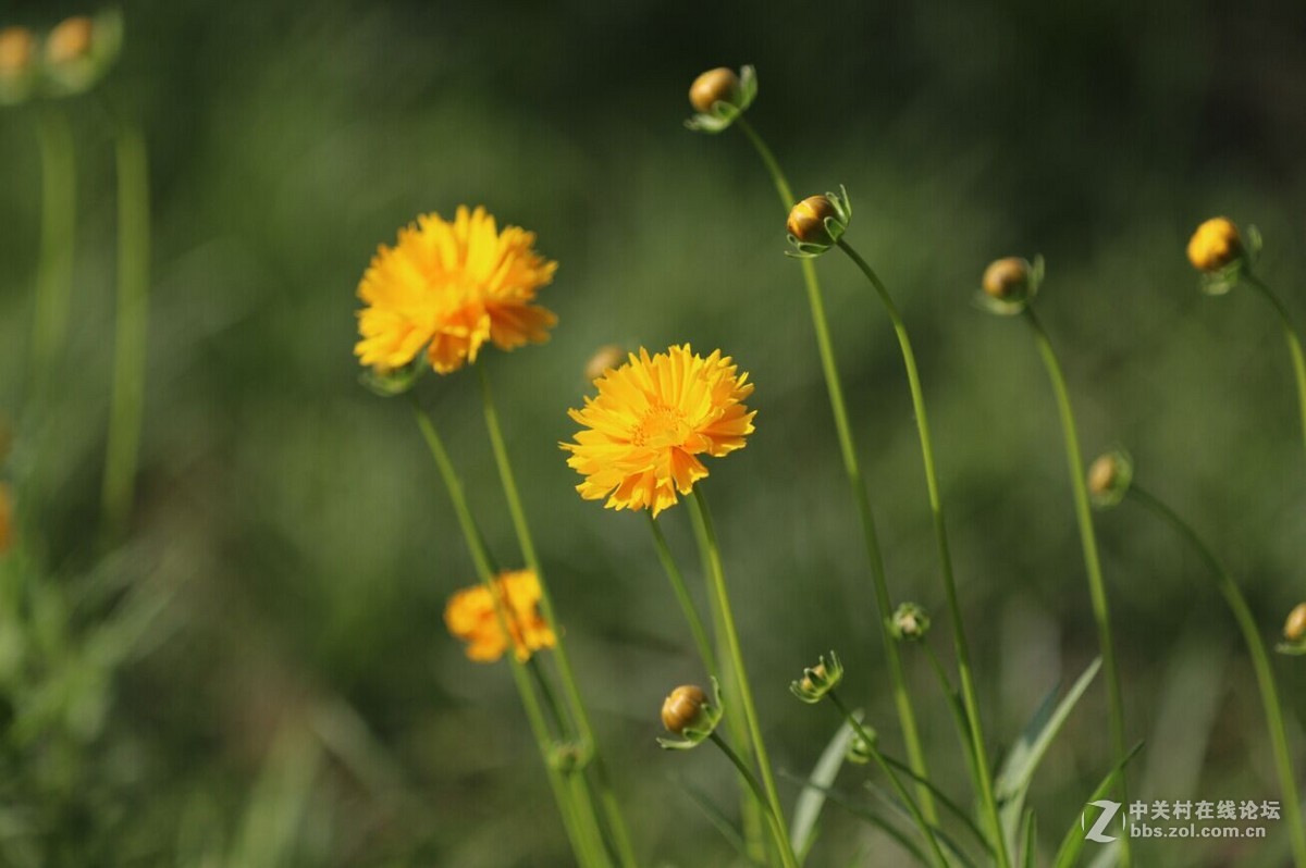 新手试拍2请各位老师指点