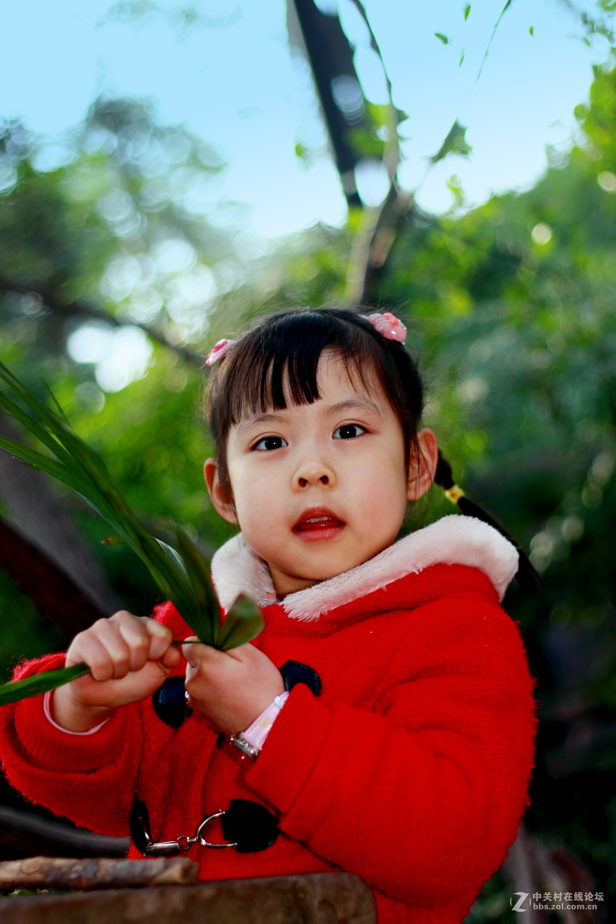 纪念我已经牺牲了的 50 1.8镜头