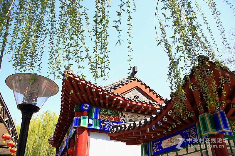 吳桥杂技大世界！[3]