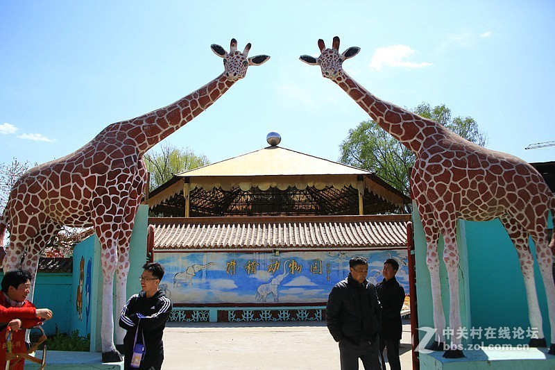 吳桥杂技大世界！[3]