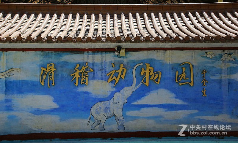 吳桥杂技大世界！[3]