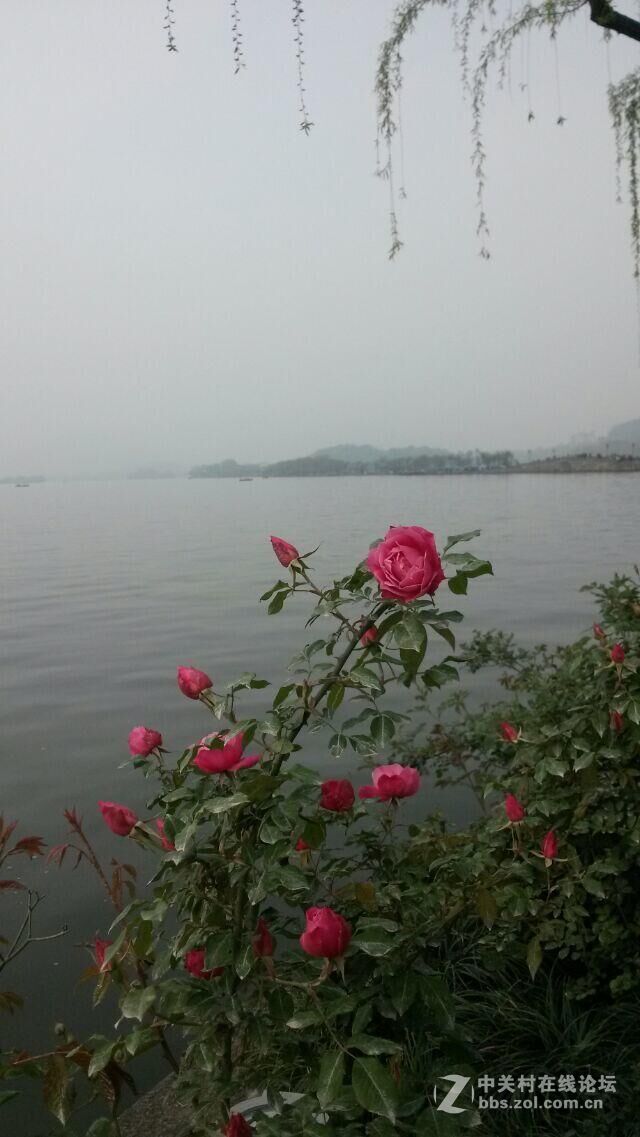 尘归尘    土归土