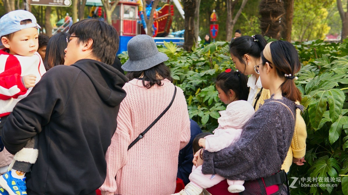 新人报道，闲鱼二手nex6，游园试镜