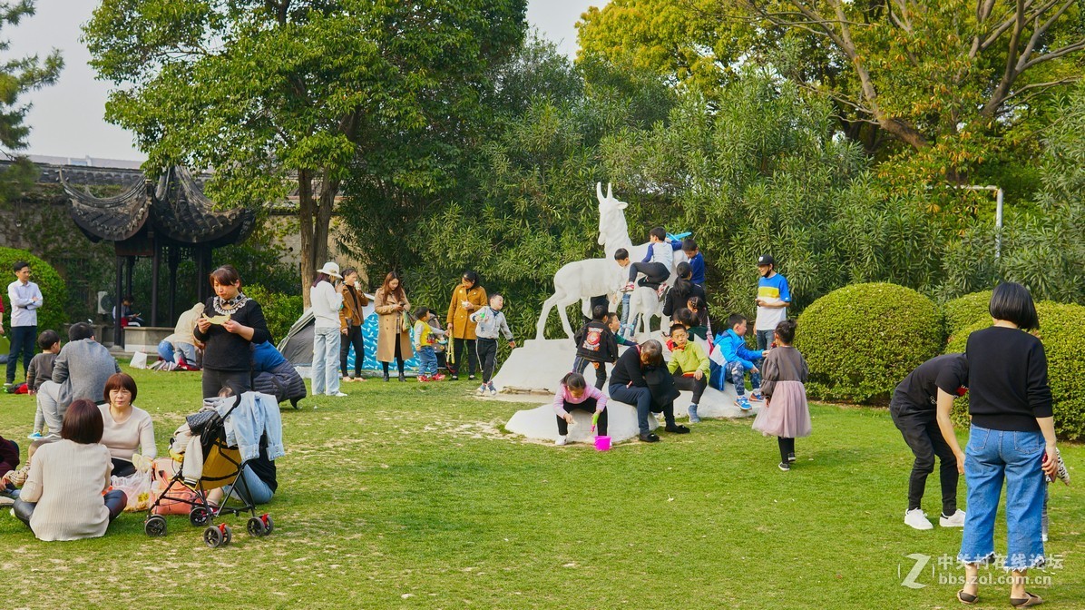 新人报道，闲鱼二手nex6，游园试镜