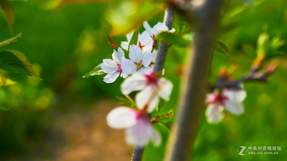 闲鱼淘了个nex6，又在东买了30 1.4，试镜上图