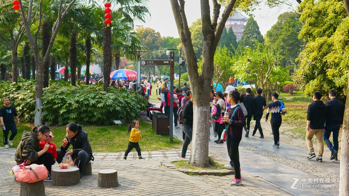 新人报道，闲鱼二手nex6，游园试镜