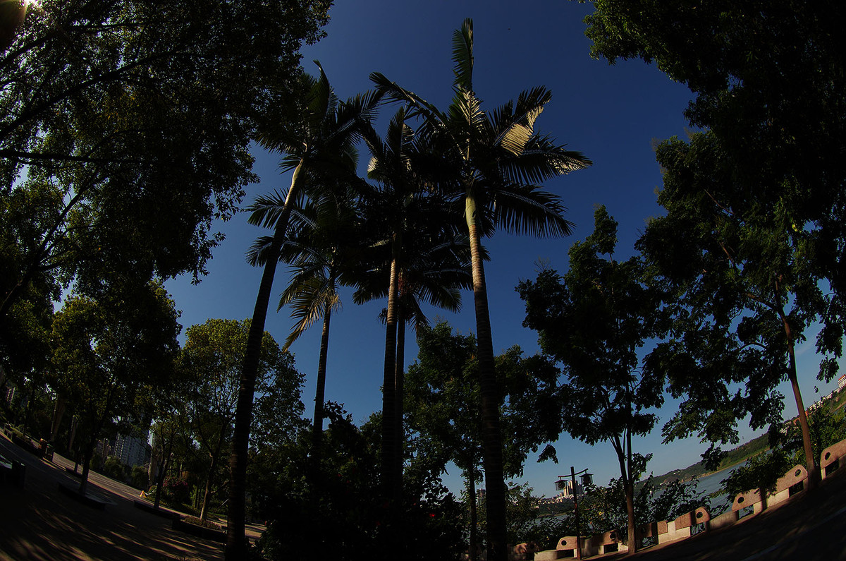 醉美中国酒城泸州