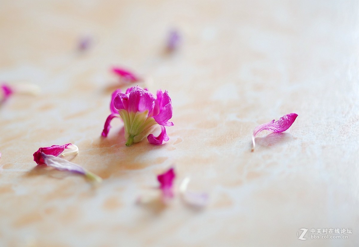 感受美能达的色彩