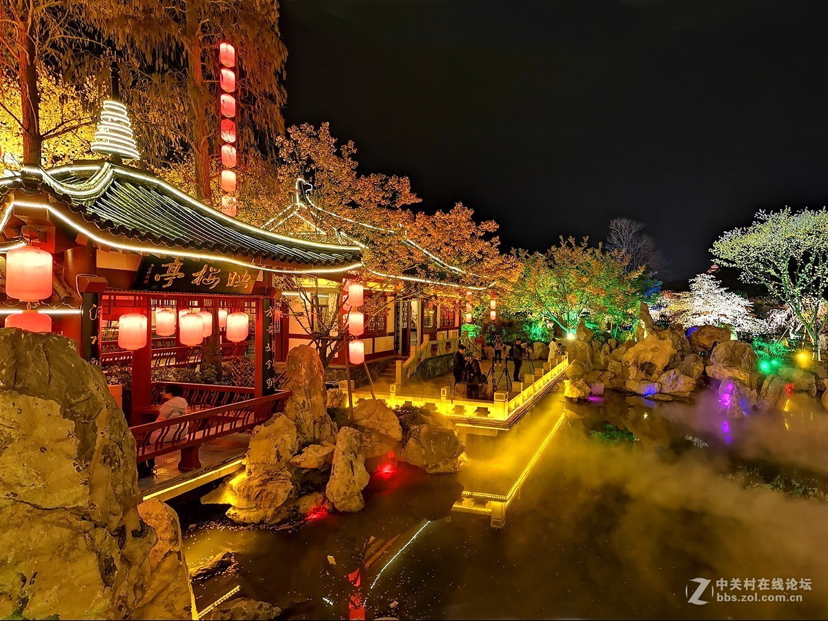 武汉东湖樱花园夜景