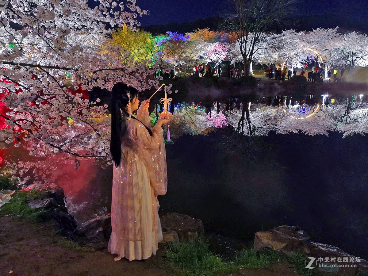 武汉东湖樱花园夜景