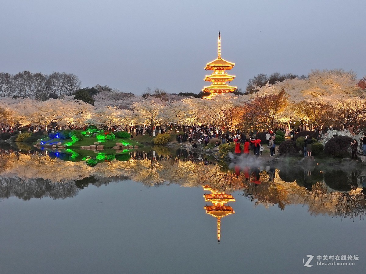 武汉东湖樱花园夜景