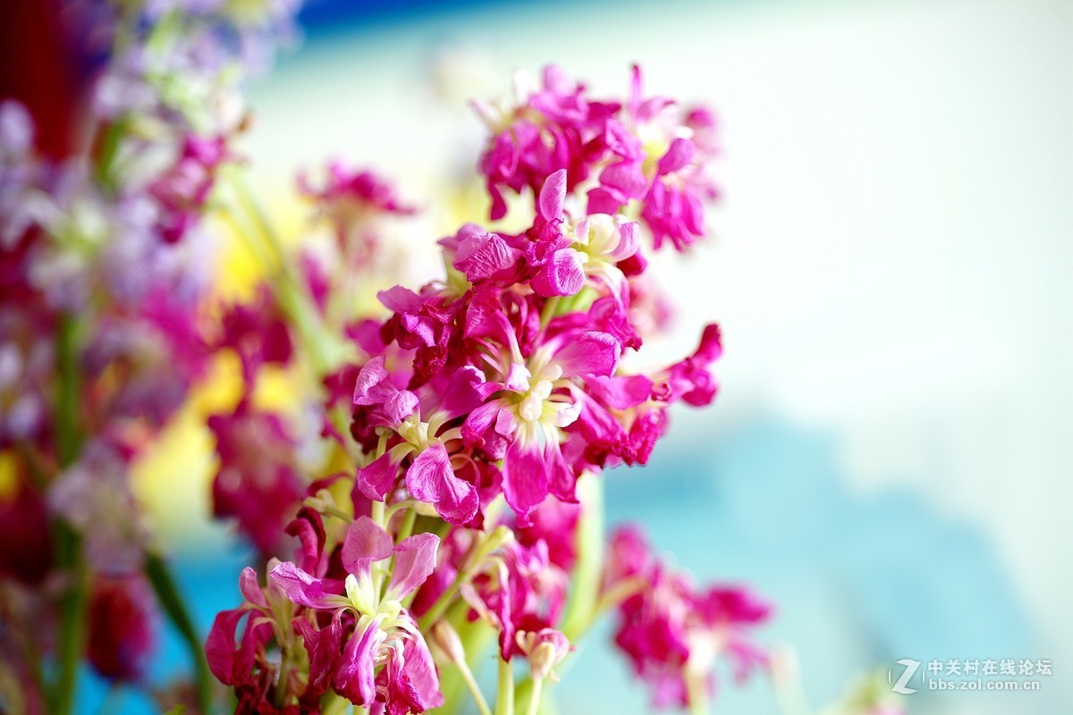 感受美能达的色彩